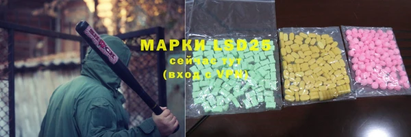 СК Гусев