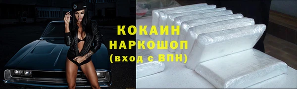 СК Гусев