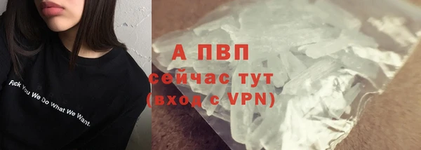 СК Гусев