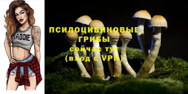 мдма Гусь-Хрустальный